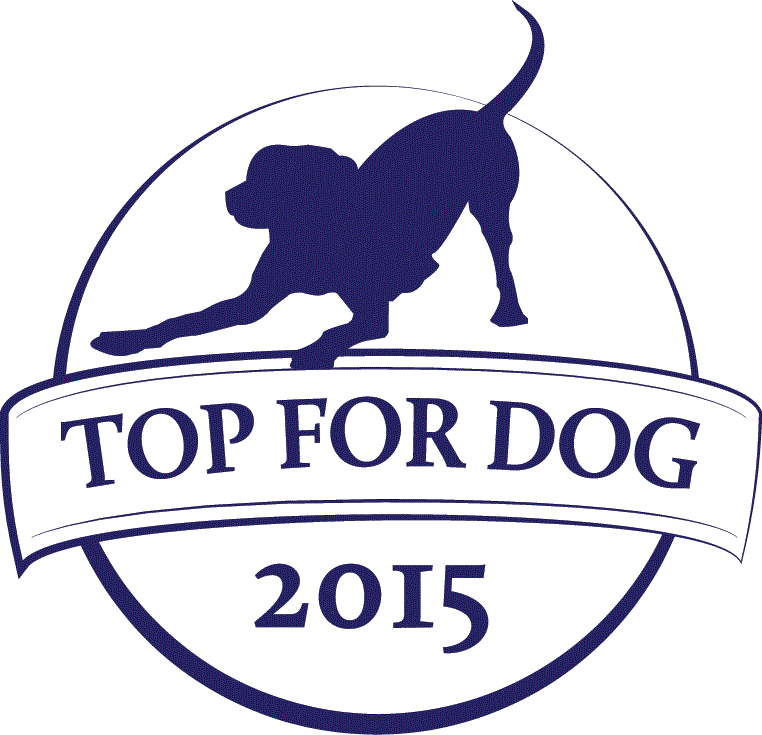 TOP FOR DOG